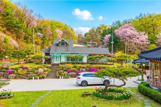 Gangchon White House in the Forest - 0