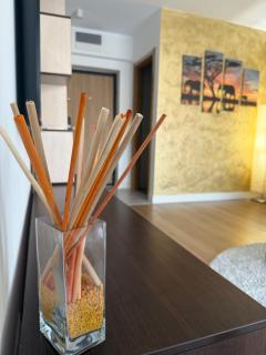North Suites Sky View Onix Pipera - 5