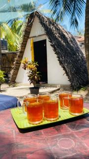 Delft Island Eco Village Stay & Campfire Experience - 6