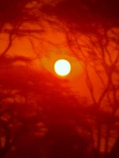 Giraff maasai mara home stay&safaris - 7