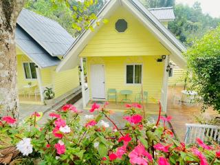 ปางสูงเฮาส์ pangsunghouse - 1