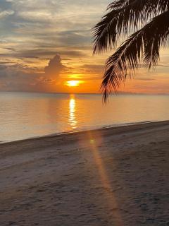 Palm Grove Villa 4BR - 6