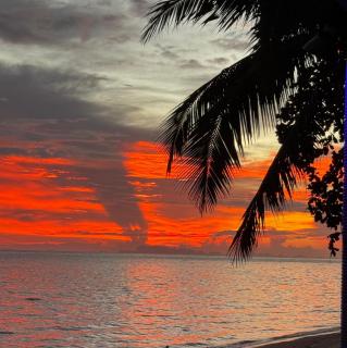 Palm Grove Villa 4BR - 5