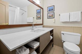 Comfort Inn Plymouth-Minneapolis - 8
