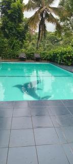 Blue Haven Guest House - Kandy - 0