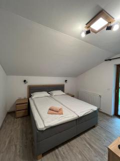 Casa KaroliAne - Bran - 8