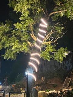Himtara Homestay - 8