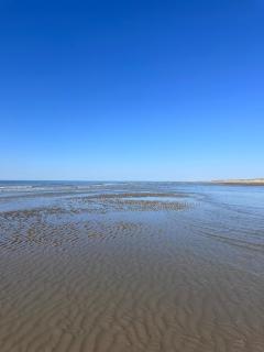 Noorderduin Beachhouse - Ferienhaus am Meer, strandnah, Hund willkommen - Bredene - 9