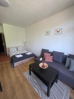 Studios and Apartments - Semiramida Gardens - 9