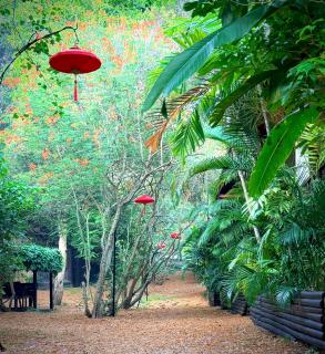 Alcove Bungalow - 1
