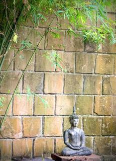 Alcove Bungalow - 2