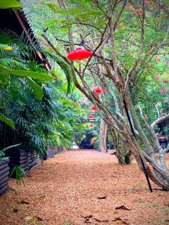 Alcove Bungalow - 5
