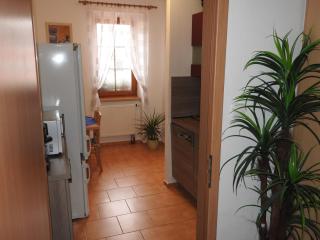 Apartmány u náměstí Sušice - Sušice - 1