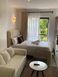 Cozy Studio along Naivasha road-off Waiyaki way - 4