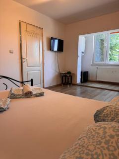 Hunedoara Central Stay - 9