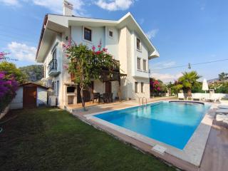 Dalyan Villa SteelPen - 9