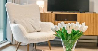 Modern 4-Guest Apartment in Ostend - 2