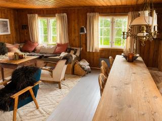 Cozy family friendly cabin at beautiful location! - 1