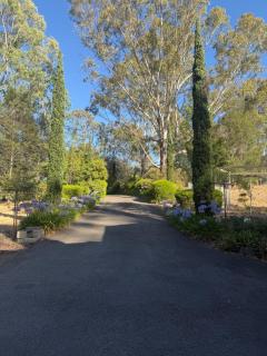 Emu Lodge Luxury 5-Bedroom Retreat on 3 Acres - 6
