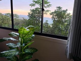 Mystay - 4