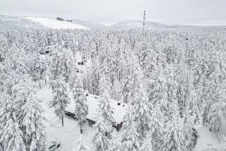 Baron's Cabin - 7