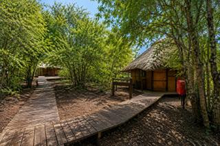 Mkuze Game Reserve - 3