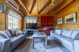 Alpine Retreat with Sauna Near Ski Lifts - 5