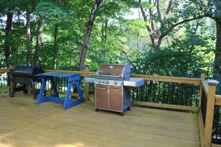 Dual-Home Berkshire Retreat Sleeps 16 - 7