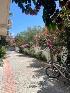 Ilirida-Swimming pool & garden view rooms for rent - Durrës - 7