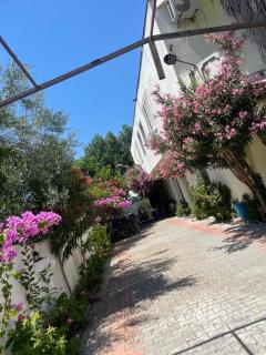Ilirida-Swimming pool & garden view rooms for rent - Durrës - 6