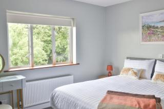 Ivy Guesthouse - 1