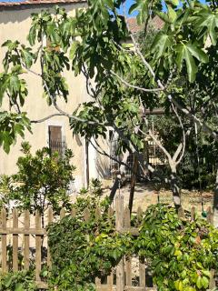 L'hort - 1