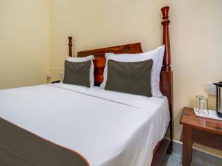OYO Hotel Umrao opp big tree cafe ajmer road 200ft by pass highway king - 9