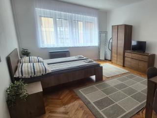 Downtown Studio Apartman - 8