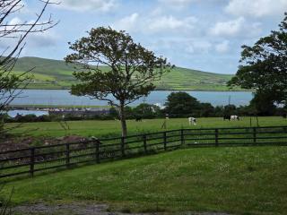Dingle Courtyard Cottages & Luxury Cabins - 3