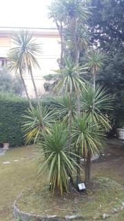 Garden Suite - Genoa - 1