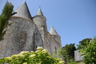 Chambre au château de la Noé Sèche - 2