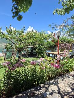Guest House Lin - 4