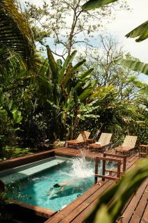 Casa Botanica Breakfast, Pool & Ocean Views - 8