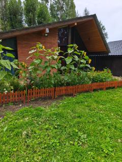 Cozy Wooden House near Gudauri - 7