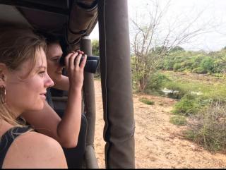 Sahana Safari Eco Retreat - 5