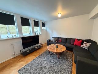 Cozy centrally located apartment in Reykjavik - 4