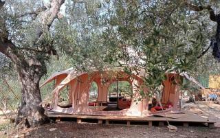Wishne Glamping Agriturismo in tende Bisceglie - 5