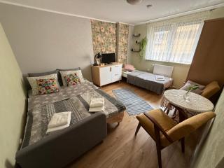 U Arlety - Pokoje Gościnne i Apartament - 7