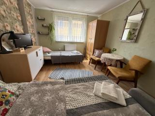 U Arlety - Pokoje Gościnne i Apartament - 9