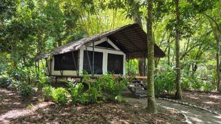 Four Monkeys Eco Lodge - Jungle & Beach - 6