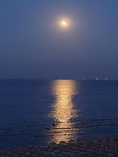 One Promenada Mamaia Nord - 7