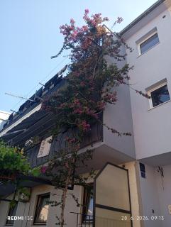 Apartman Josipa - 9