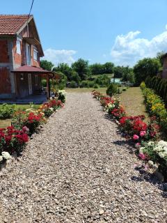Zeleni kutak - 2
