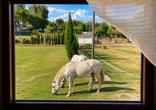 Casa con vistas, piscina y animales de granja, LA CASETA - 4